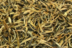 古树红茶700一斤贵吗_古树红茶多少钱呢？