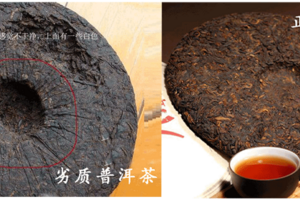 中国普洱茶网报价