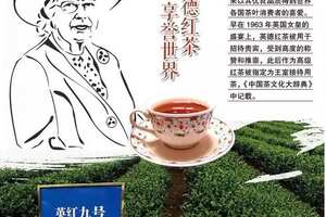 英德红茶有什么功效与禁忌？