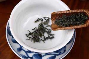 减肥绿茶有哪些品种名称？（什么