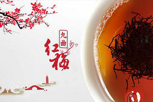桂花九曲红梅是什么茶