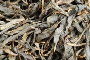 麻黑古树茶的特征是什么