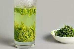 最好的绿茶是什么茶