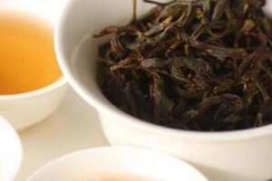 茶叶蜜兰香单丛属于什么茶
