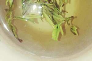 含山翠须是什么茶叶