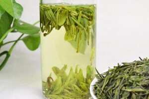 家里种的茶叶是绿茶吗