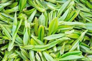 四川最有名的茶叶是什么