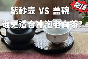 紫砂壶VS盖碗，谁更适合冲泡老白茶？实际测评之后，有答案了