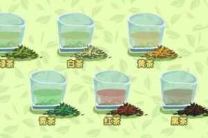 茶按发酵程度不同可以分为