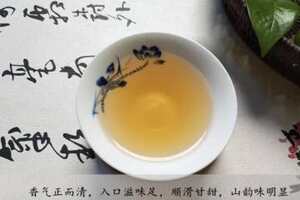 蜜香单丛茶属于什么茶