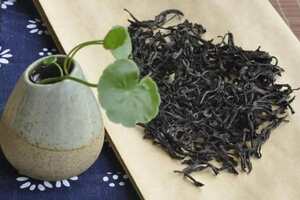 单丛茶的品种
