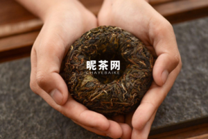 云南古树茶属于什么茶