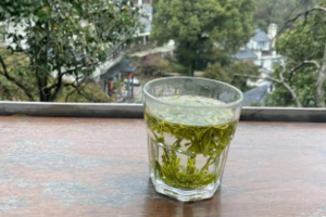 杭州茶品种