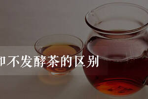 发酵茶和不发酵茶的区别（发酵茶和不发酵茶有什么区别）