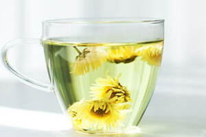 菊花茶最好的品种