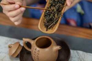 桂花白茶是什么茶（白茶是什么茶类）