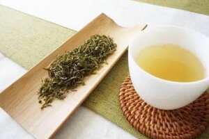黄茶是什么茶黄茶的特点介绍