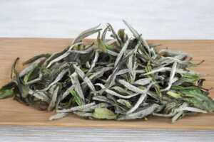 浙江的白茶属于红茶还是绿茶
