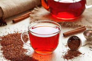 rooibos是什么茶（rooibos是什么茶属于红茶吗）