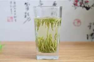 汉中仙毫是绿茶吗 