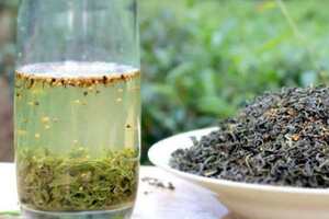 珠兰茶是花茶还是绿茶（珠兰花茶是绿茶吗）
