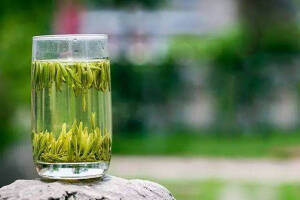 绿茶的属性和主要功效（绿茶属性及功效）