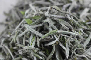 白茶的种类主分为四类，白茶包括哪几种茶