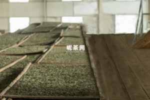 崂山绿茶制作过程
