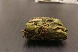 漳平水仙是什么茶树