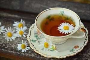 红茶和菊花能一起喝吗（红茶和菊花能一起喝吗?）