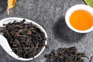 茶树品种大全
