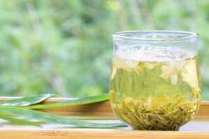 茉莉花茶属于什么茶种是红茶还是绿茶