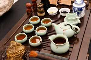 茶花的夏季养护方法