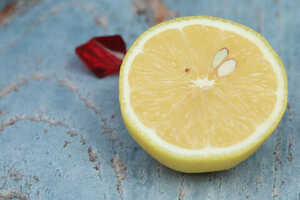 干柠檬能不能和蜂蜜泡水（干柠檬和蜂蜜怎么泡水）