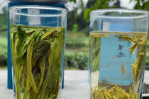 产于安徽的名茶是哪一种