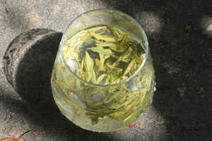 龙井茶茶树品种