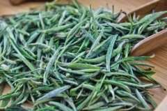 高端茶叶品种