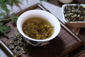 广东大叶青茶属于什么茶（广东大叶青茶图片）