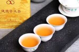 凤凰单丛是什么茶
