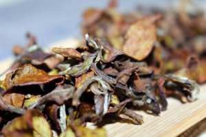 东方树叶玄米茶的功效与作用