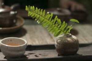 什么是茶文化