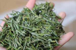 什么茶叶属于绿茶系列