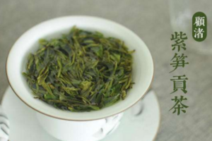 顾渚紫笋茶是什么茶（顾渚紫笋茶是著名的什么茶）