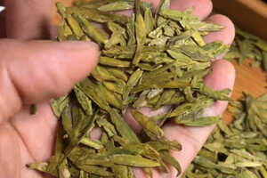龙井茶有多少种品种（龙井茶的品种有多少）