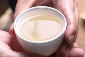 白茶品鉴手记，白茶品鉴方法