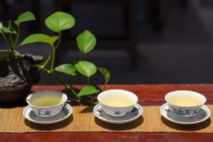 铁观音到底属于什么茶，功效和作用是什么？