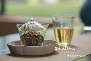长期饮用白茶的副作用（男性长期饮用白茶的副作用）