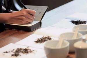 根据茶叶的发酵程度不同，茶叶可以分为哪几种？