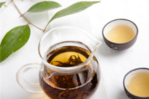 什么茶可以补肾养肾