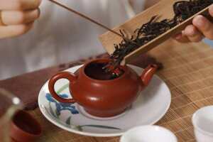 一把紫砂壶可以泡多种红茶吗